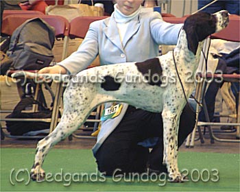 Special Puppy Bitch