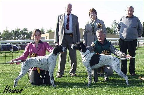 The Pointer Club Champ Show 2009