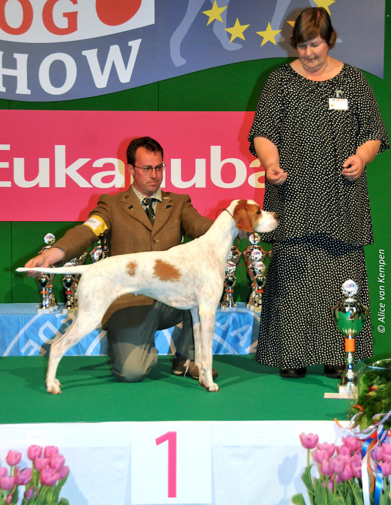 Summer - Multi Show Champion Aurichalcum Miss Tified Ledgands