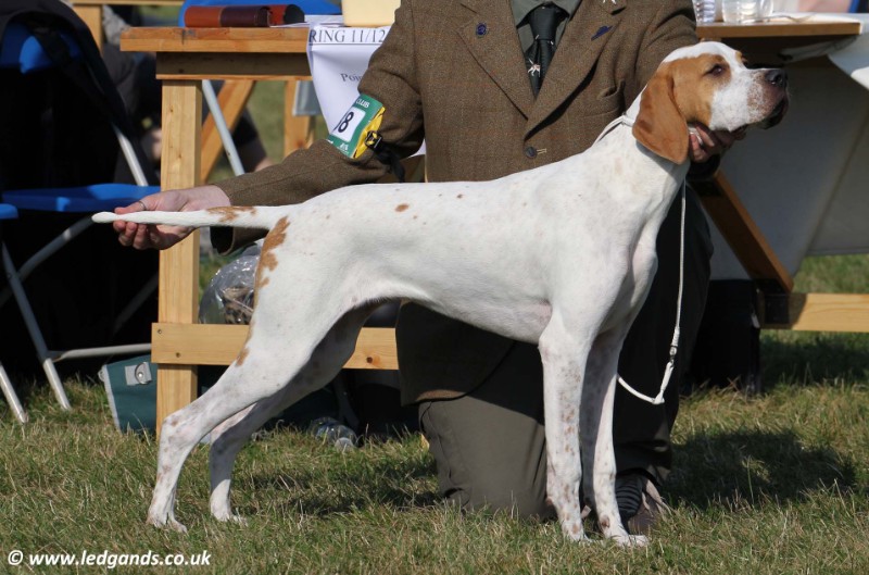 Vespa - International/Dutch/Lux Sh Ch Sunny Side Up at Ledgands BW’14