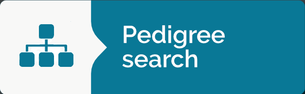 Search Pointer Pedigree Database