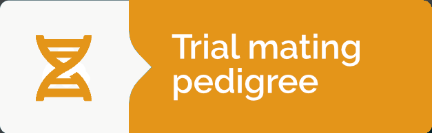 Create Trial Mating Pointer Pedigree