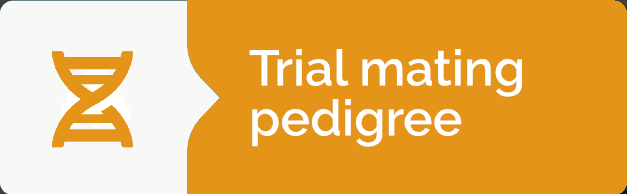 Trial mating pedigree