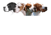 Ledgands Pointers Logo